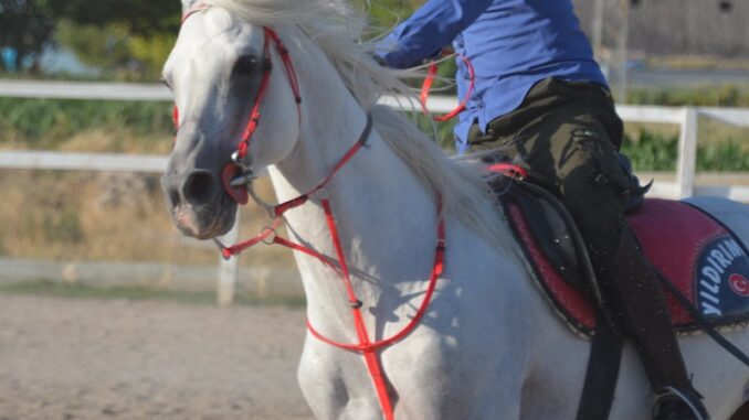 uploaded-image-yataganda-spor-kulupleri-1698146457224