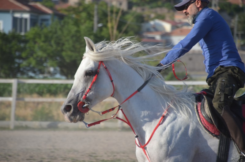 Yatağan'da Spor ve Rekreasyon