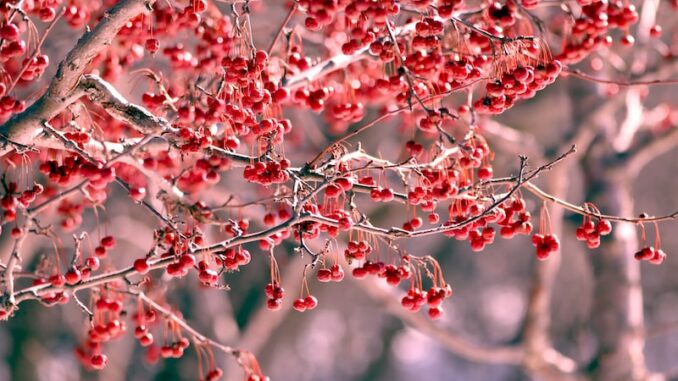uploaded-image-yataganin-geleneksel-yemekleri-1698146439443