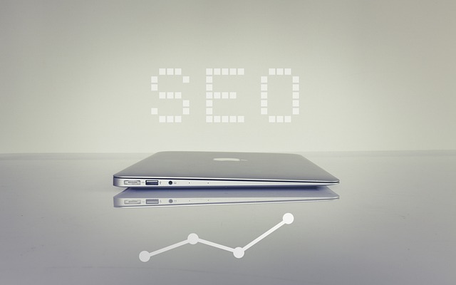 Seo Nedir? Seo Nedir?